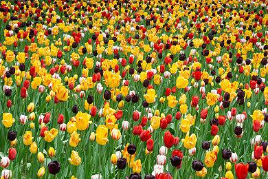 开发商坚称《星球大战：旧共和国武士重制版》仍在开发